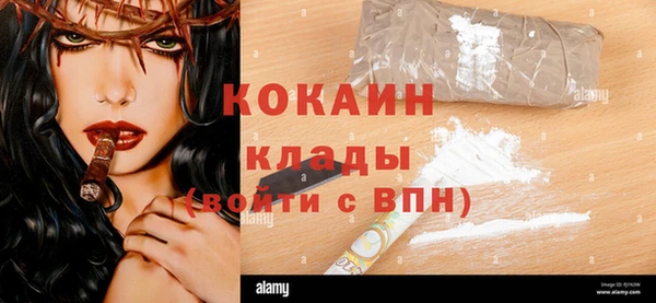 индика Алексин